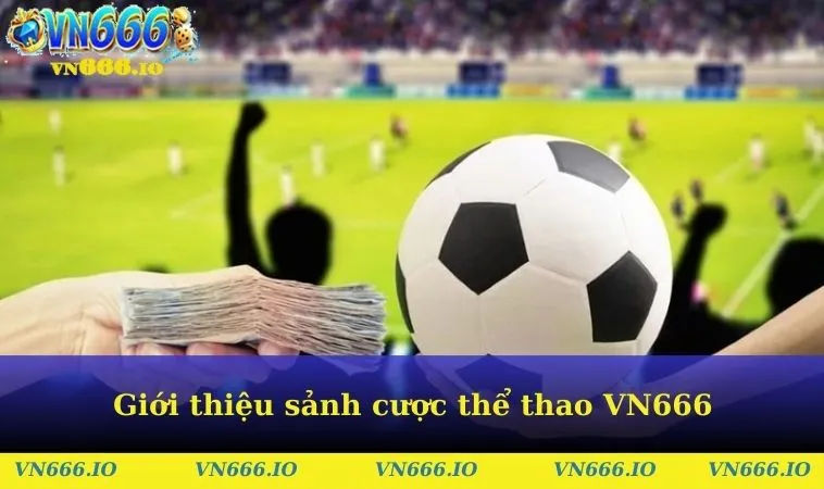 Giới thiệu sảnh cược thể thao VN666